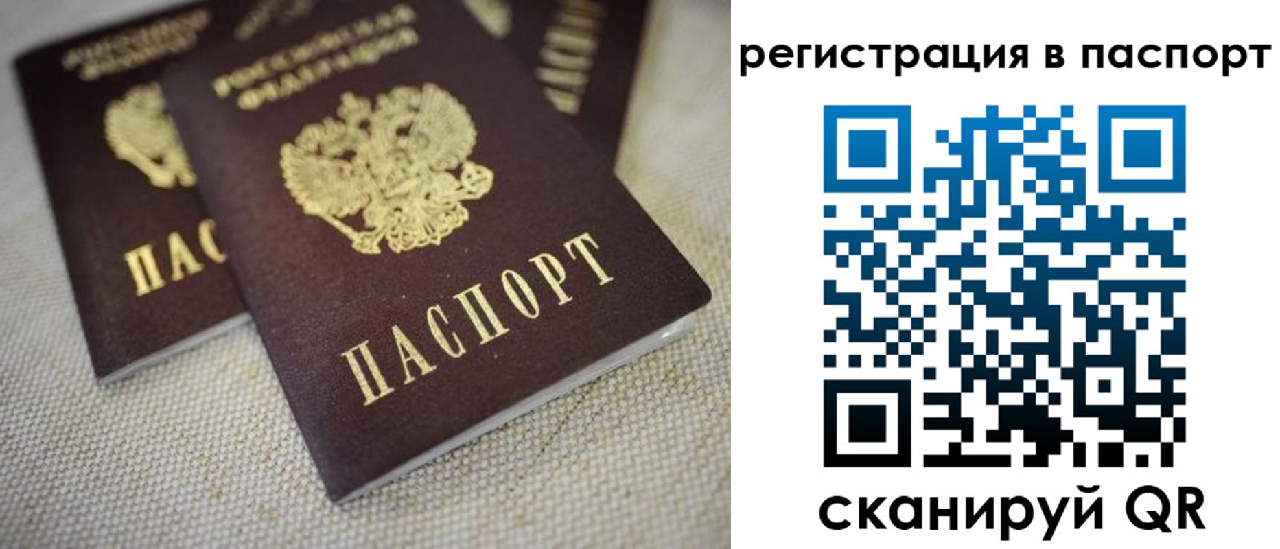 прописка гарантия в Сертолово